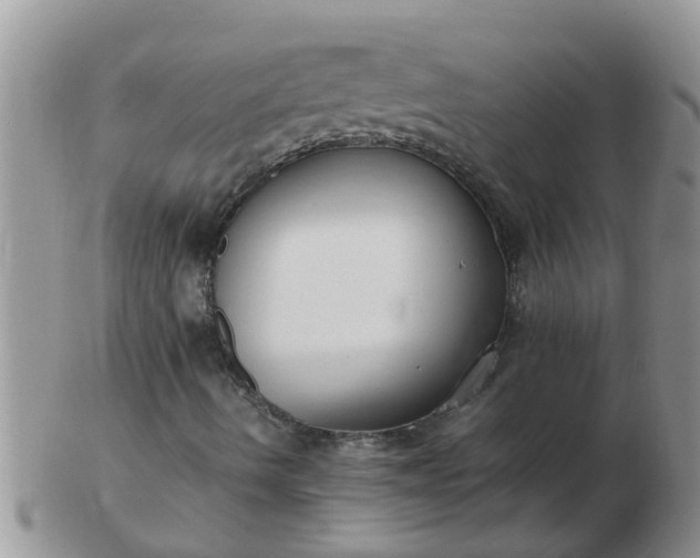 X0000103311490200809122040