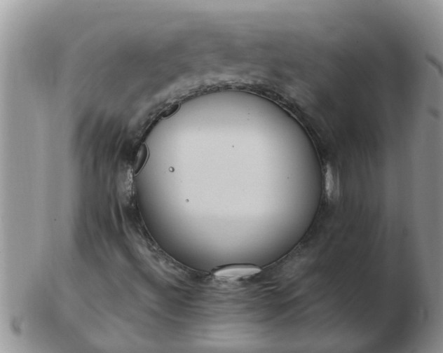 X0000103311492200809122040