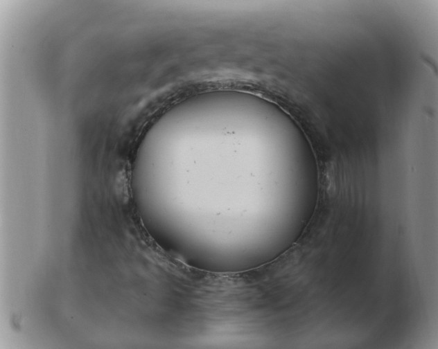 X0000103311493200809122040
