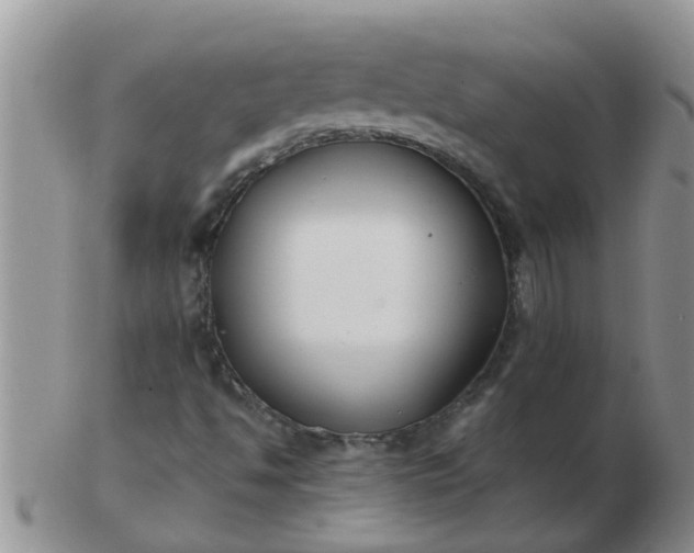 X0000103311494200809122040