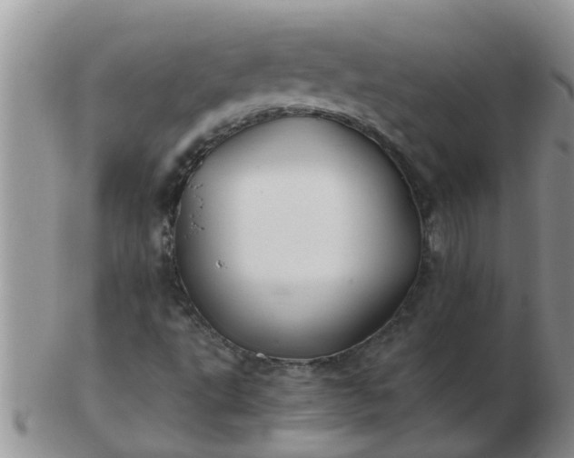X0000103311495200809122040
