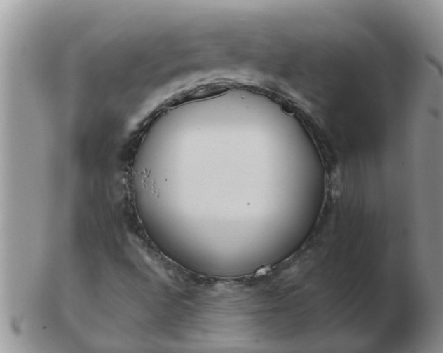 X0000103311496200809122040