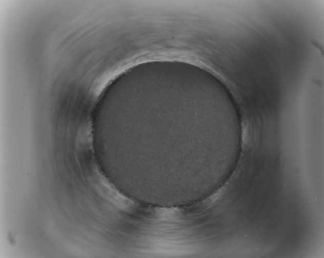 X0000103311498200809122040