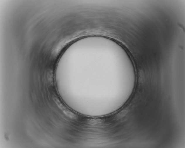 X0000103311499200809122040