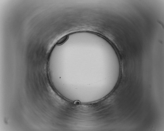 X0000103311500200809122040