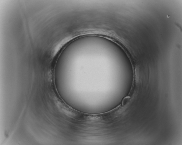 X0000103311501200809122040