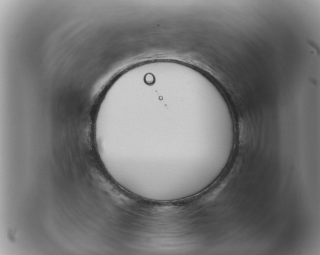 X0000103311502200809122040