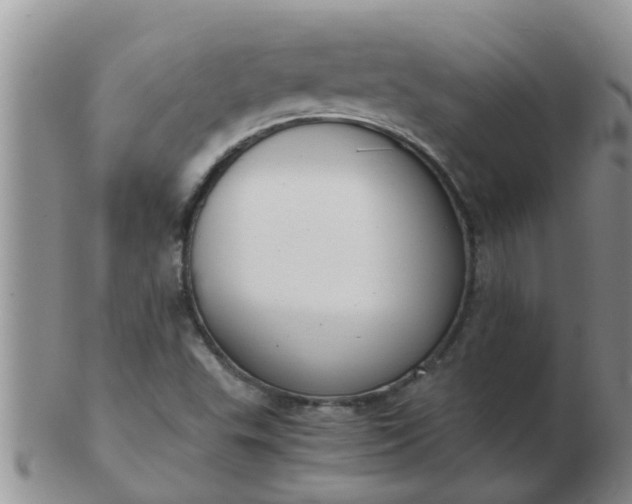 X0000103311503200809122040