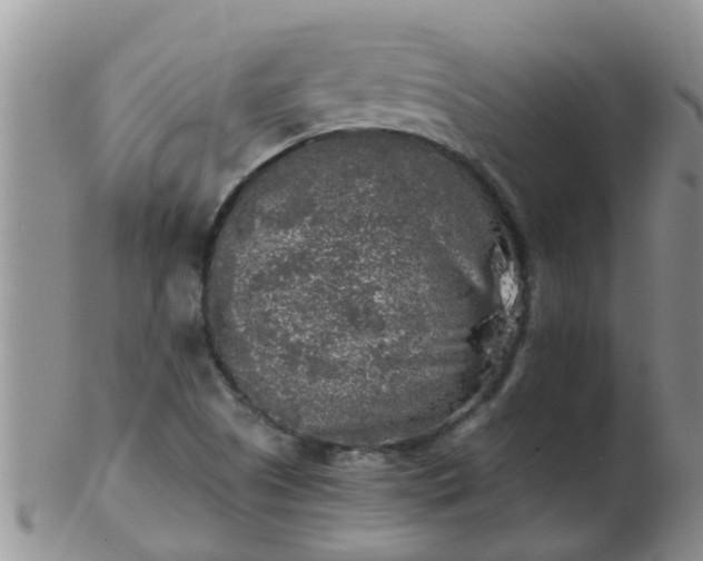 X0000103311505200809122040
