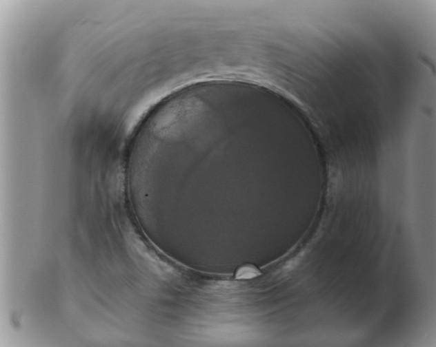 X0000103311506200809122040