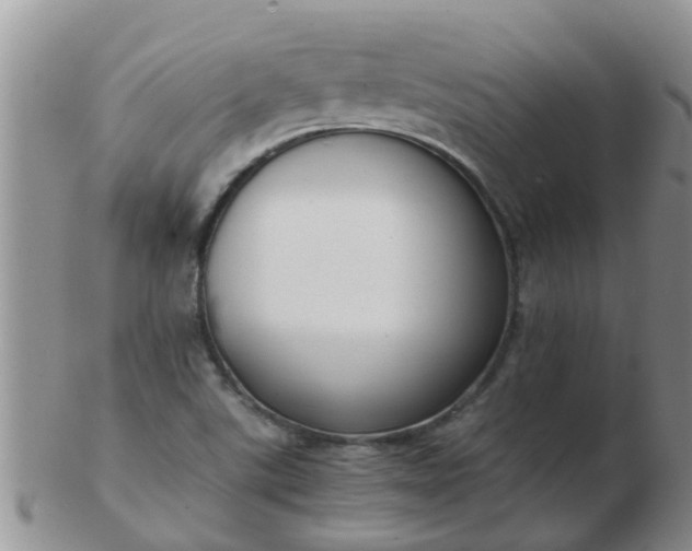 X0000103311507200809122040