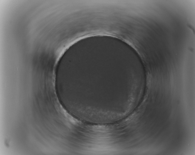X0000103311508200809122040