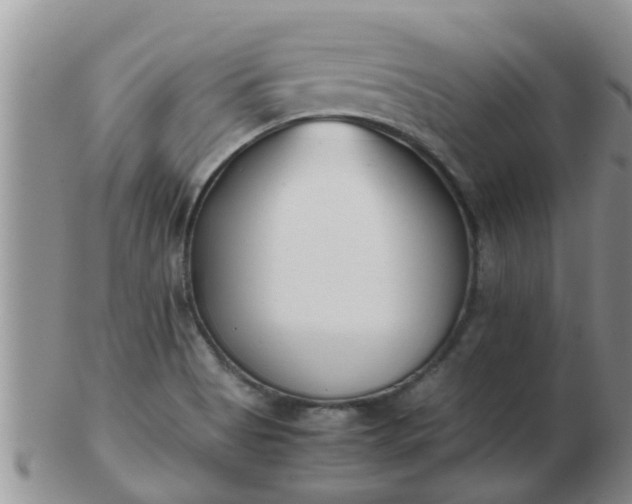 X0000103311513200809122040