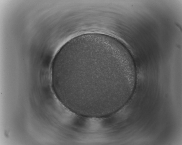 X0000103311514200809122040