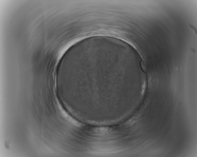 X0000103311515200809122040