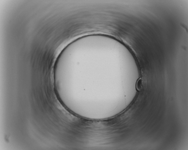 X0000103311516200809122040