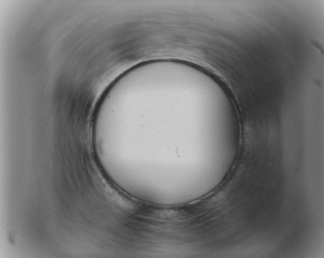 X0000103311517200809122040