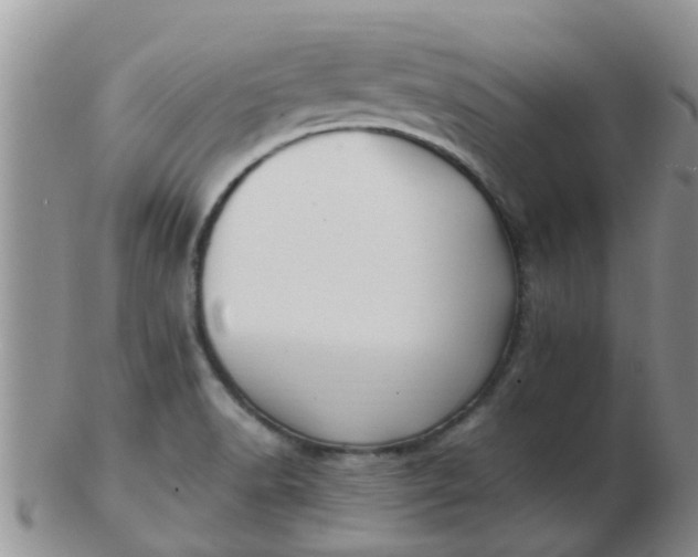 X0000103311518200809122040