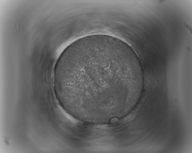 X0000103311519200809122040