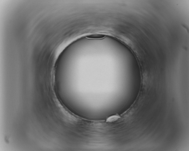 X0000103311520200809122040
