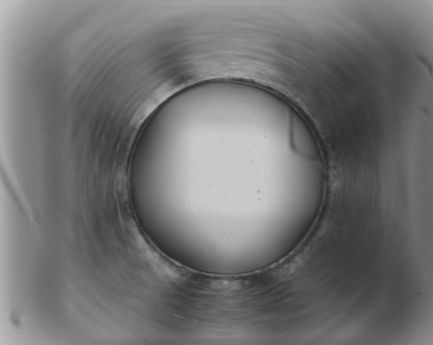 X0000103311521200809122040
