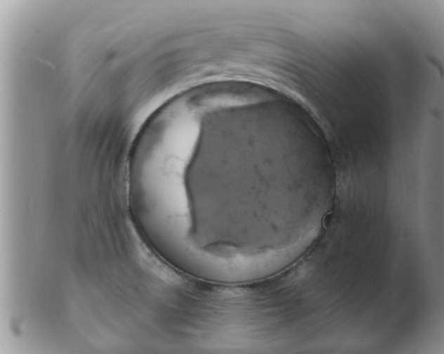 X0000103311522200809122040