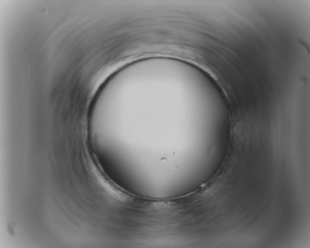 X0000103311523200809122040