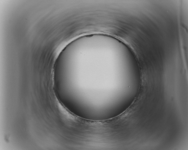 X0000103311524200809122040