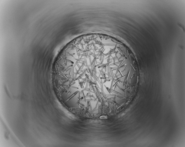 X0000103311525200809122040
