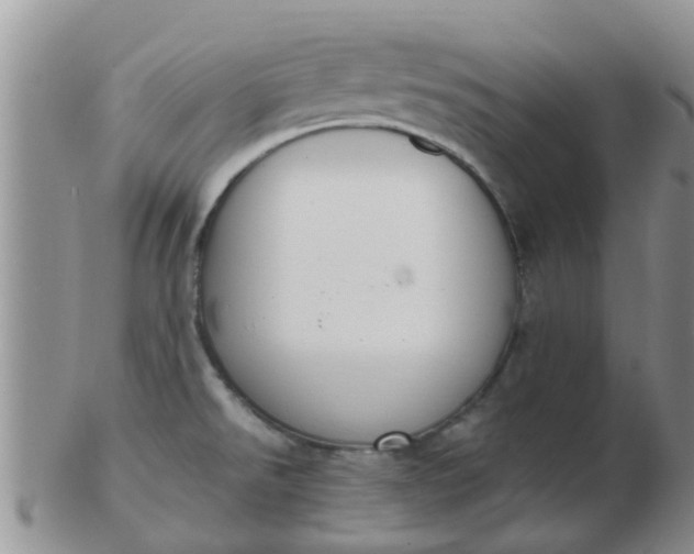 X0000103311526200809122040