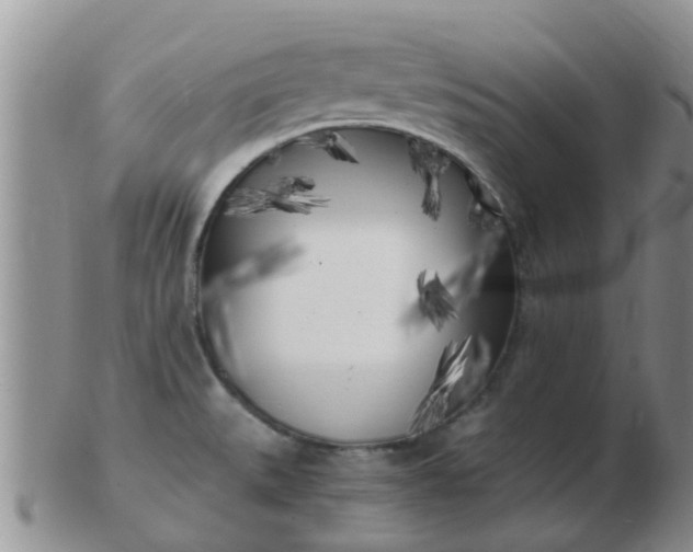 X0000103311527200809122040