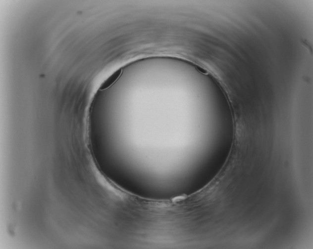 X0000103311528200809122040