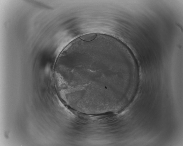 X0000103311529200809122040