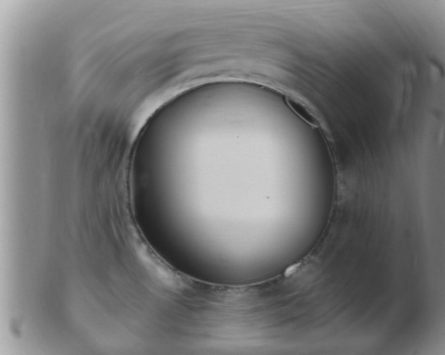 X0000103311530200809122040