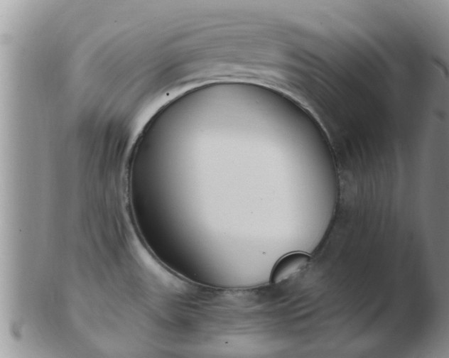 X0000103311531200809122040