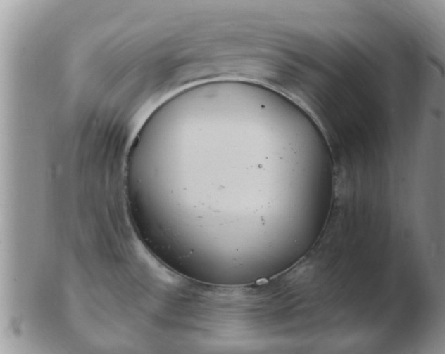 X0000103311532200809122040