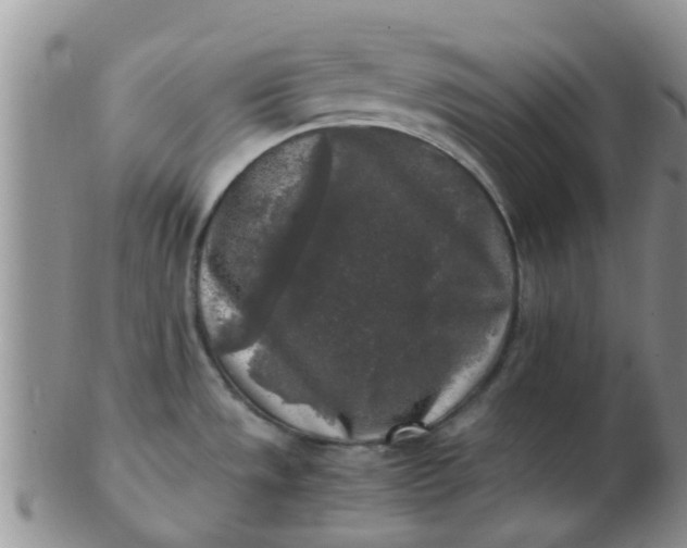 X0000103311533200809122040