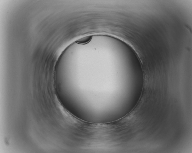 X0000103311534200809122040