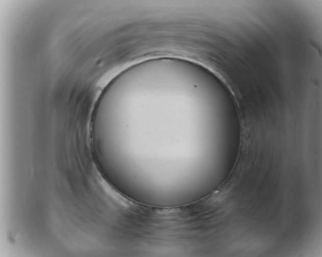 X0000103311535200809122040