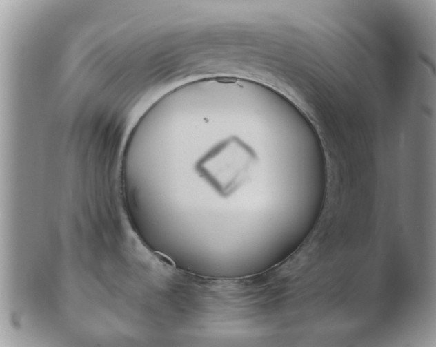 X0000103311536200809122040