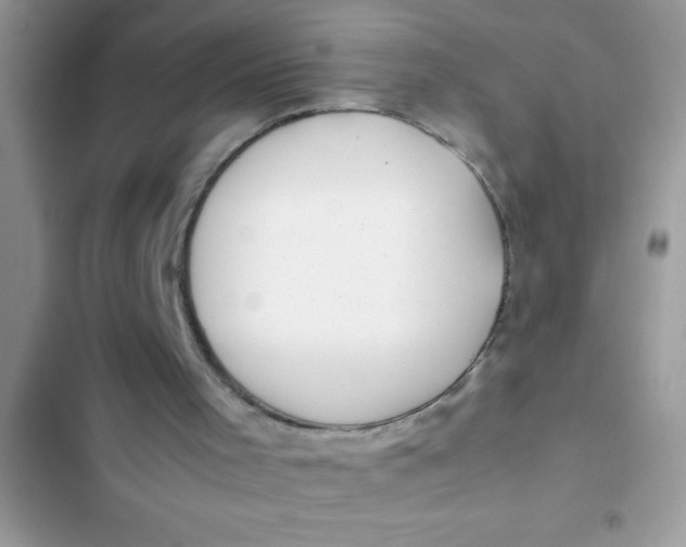 X0000103310001200809191929