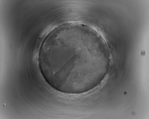 X0000103310002200809191928