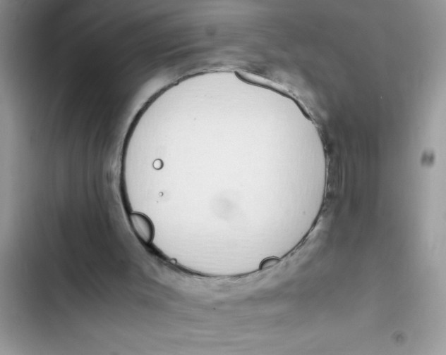 X0000103310003200809191928