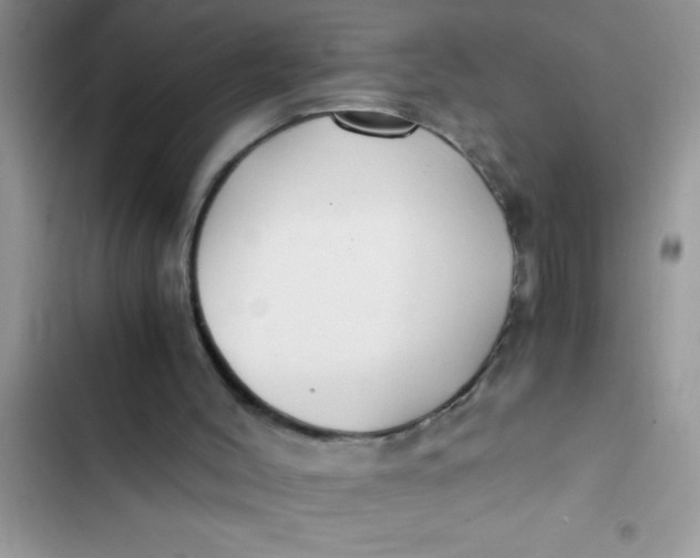 X0000103310004200809191928