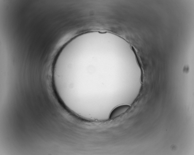 X0000103310005200809191928