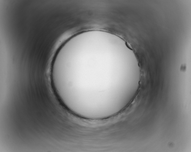 X0000103310006200809191928