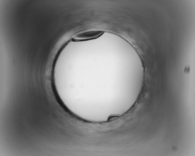 X0000103310007200809191928