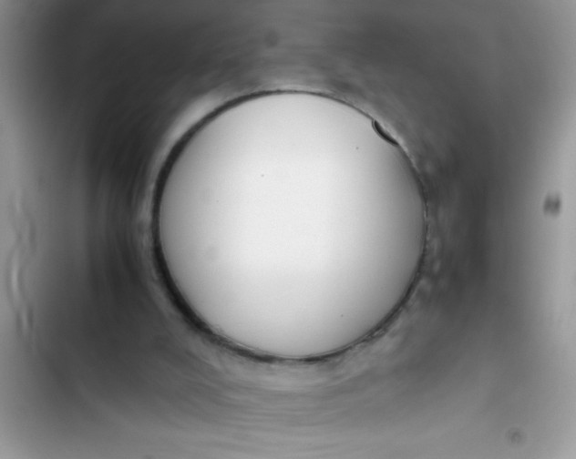 X0000103310008200809191928