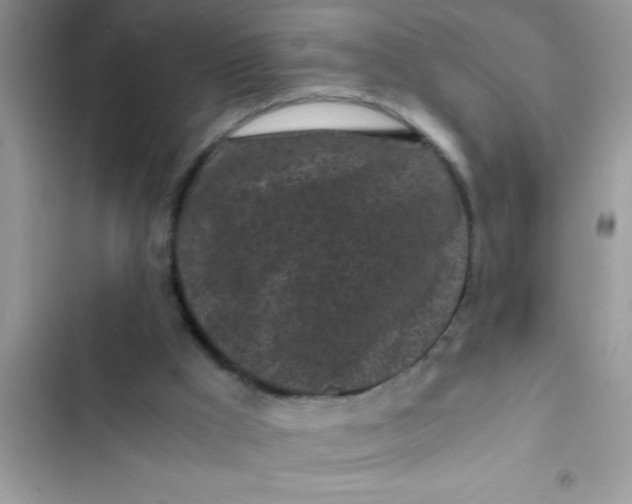 X0000103310009200809191928