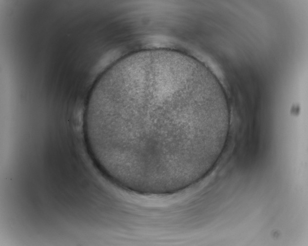 X0000103310010200809191928